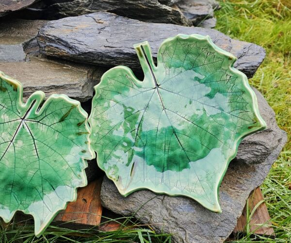 1000030909 1000030909