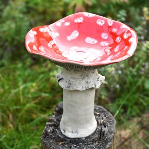 Muchomor patera 02